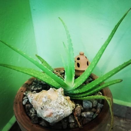 Scorpion Hill Lodge Busua Room photo