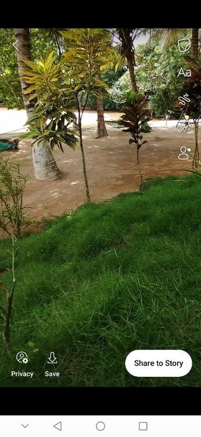 Scorpion Hill Lodge Busua Exterior photo