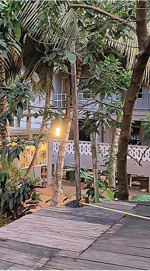 Scorpion Hill Lodge Busua Exterior photo