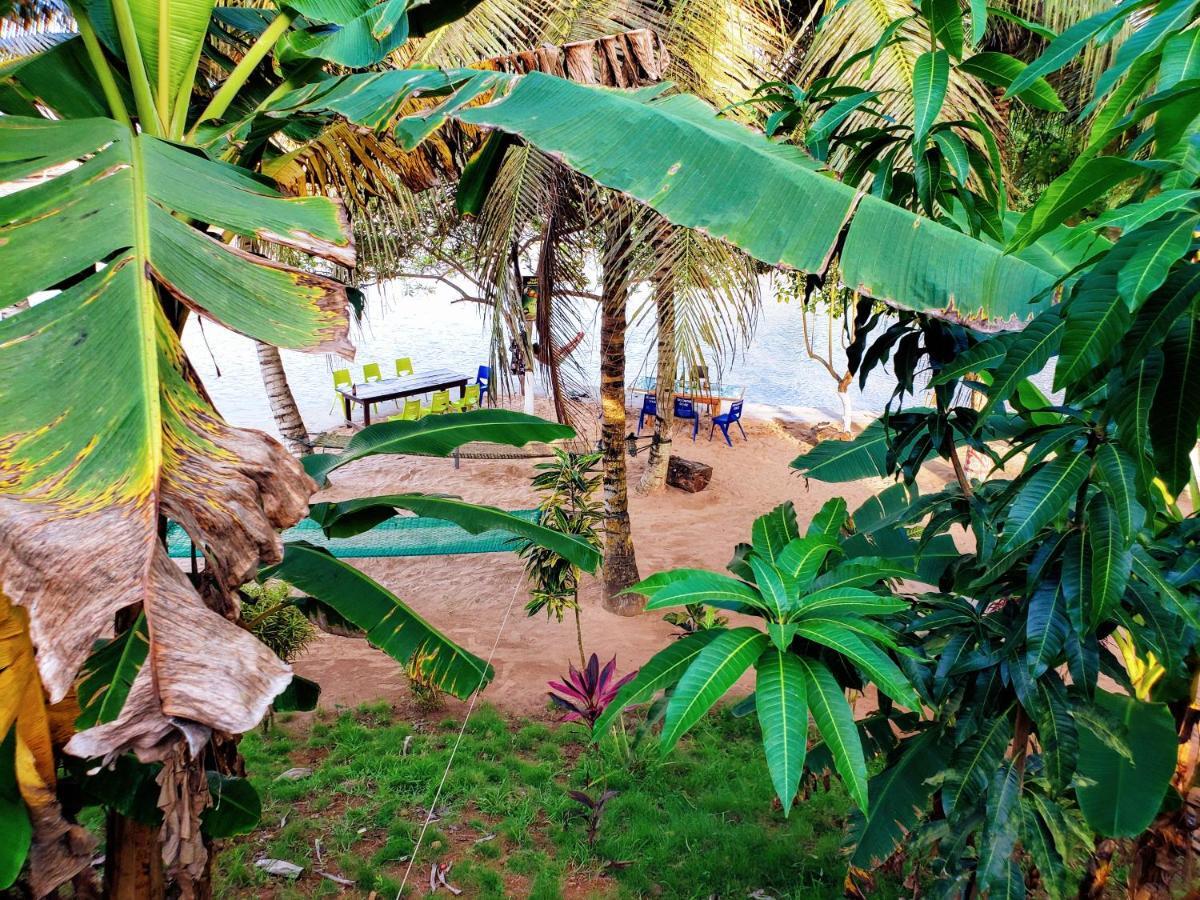 Scorpion Hill Lodge Busua Exterior photo