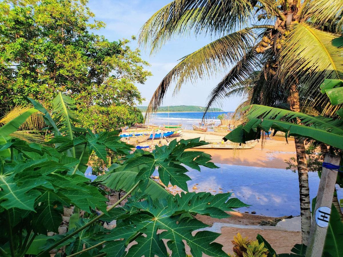 Scorpion Hill Lodge Busua Exterior photo